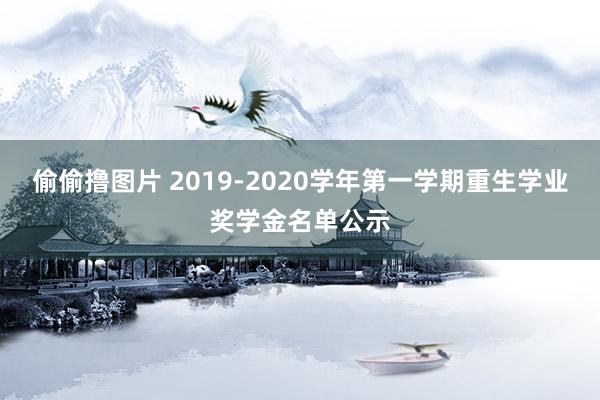 偷偷撸图片 2019-2020学年第一学期重生学业奖学金名单公示