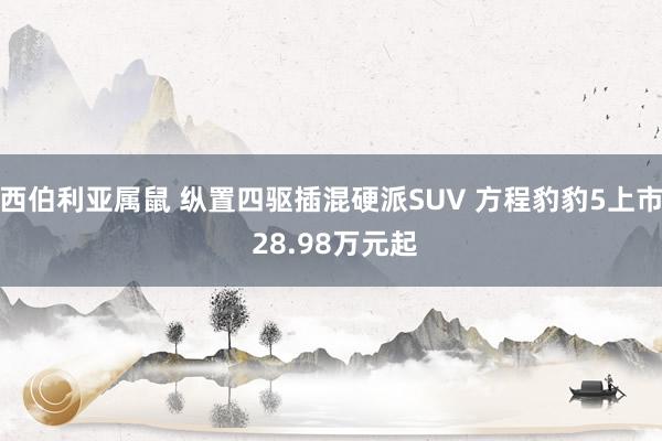 西伯利亚属鼠 纵置四驱插混硬派SUV 方程豹豹5上市 28.98万元起