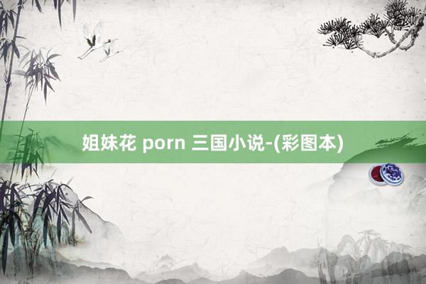 姐妹花 porn 三国小说-(彩图本)