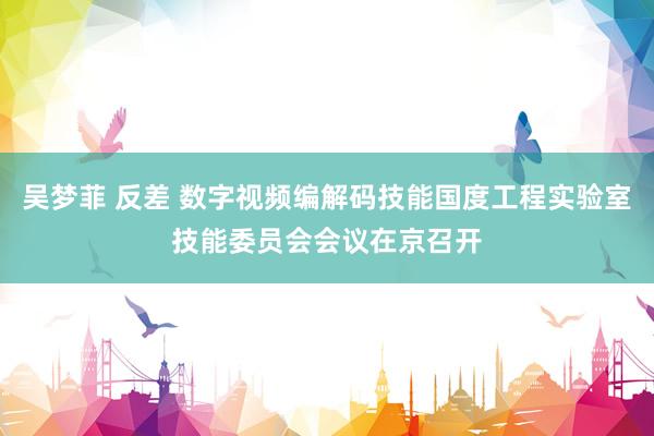 吴梦菲 反差 数字视频编解码技能国度工程实验室技能委员会会议在京召开