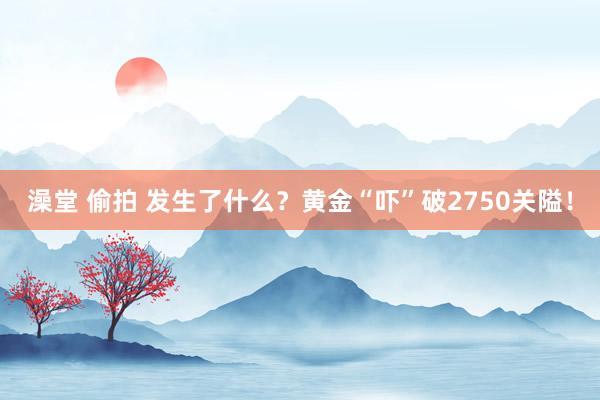 澡堂 偷拍 发生了什么？黄金“吓”破2750关隘！