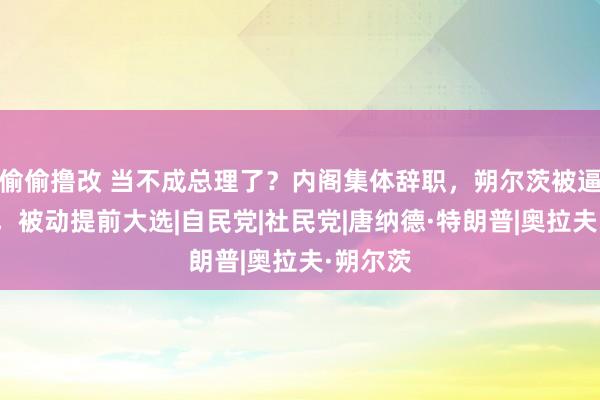 偷偷撸改 当不成总理了？内阁集体辞职，朔尔茨被逼到墙角，被动提前大选|自民党|社民党|唐纳德·特朗普|奥拉夫·朔尔茨