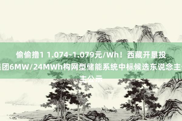 偷偷撸1 1.074-1.079元/Wh！西藏开垦投资集团6MW/24MWh构网型储能系统中标候选东说念主公示