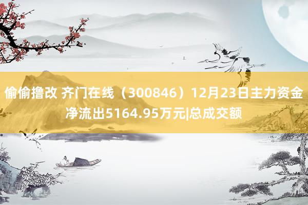 偷偷撸改 齐门在线（300846）12月23日主力资金净流出5164.95万元|总成交额