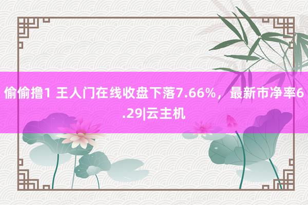 偷偷撸1 王人门在线收盘下落7.66%，最新市净率6.29|云主机