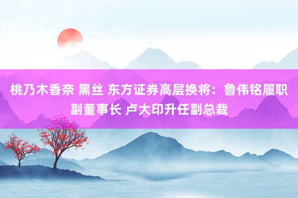 桃乃木香奈 黑丝 东方证券高层换将：鲁伟铭履职副董事长 卢大印升任副总裁