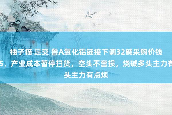 柚子猫 足交 鲁A氧化铝链接下调32碱采购价钱到795，产业成本暂停扫货，空头不啻损，烧碱多头主力有点烦